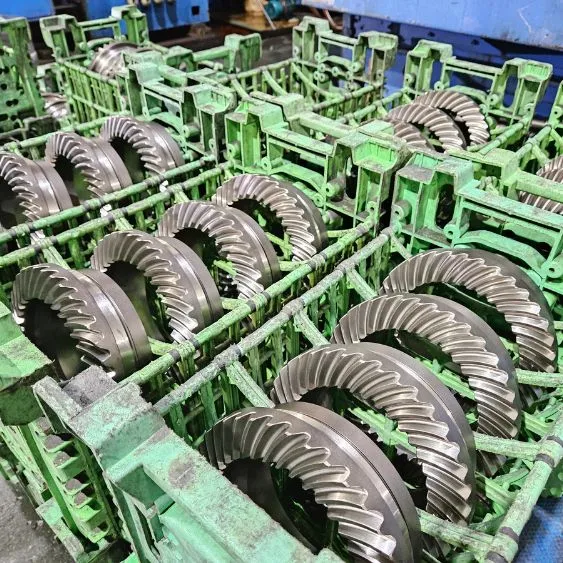 Crown wheel and pinion gears